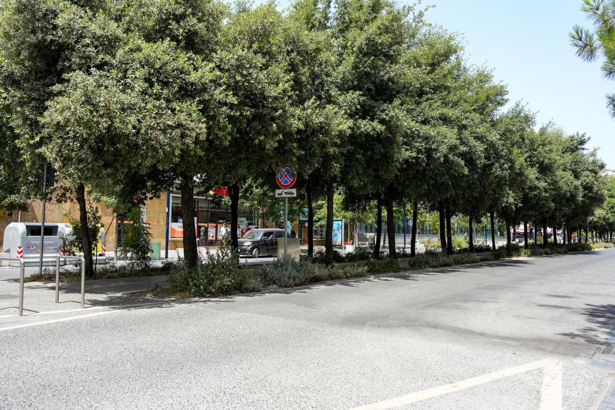Cozy Apartment In The Heart Of Tirana ! Eksteriør bilde